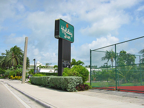 Foto Palmen am Straßenrand - Key West