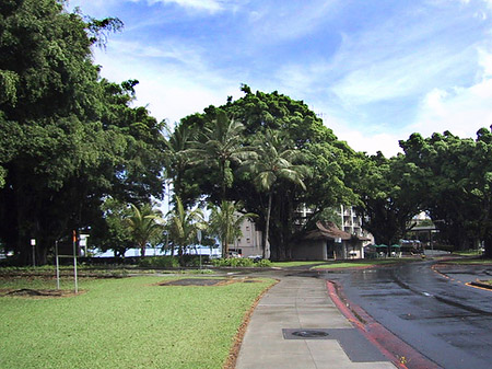 Hawaiis Straßenränder Fotos