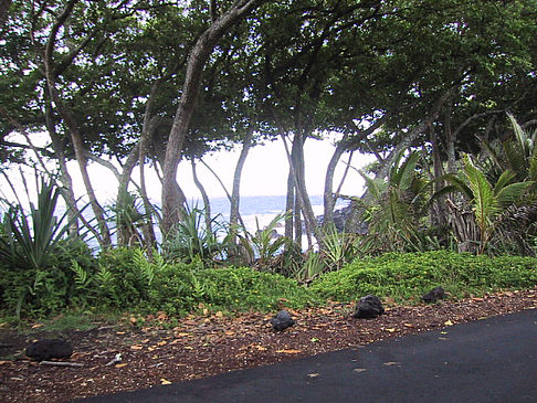 Hawaiis Straßenränder Foto 