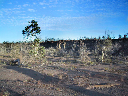 Foto Hawaiis Straßenränder - 