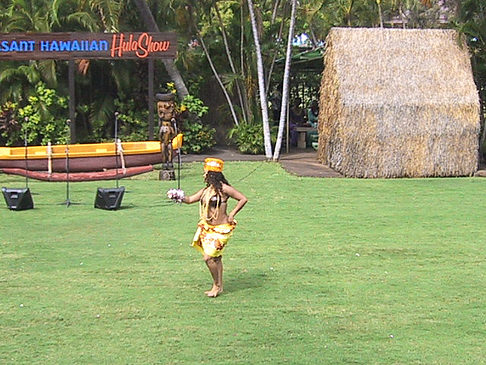 Hula Show