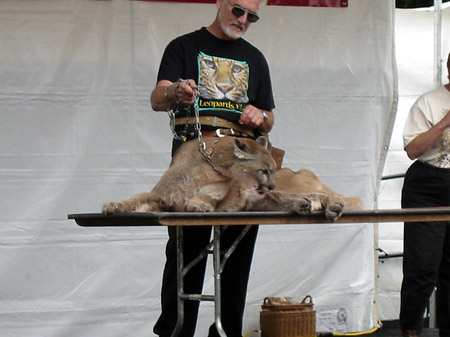 Golden Gate Park mit Botanischen Garten
