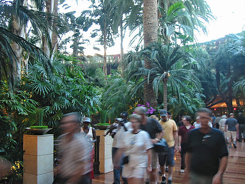 Hotel Mirage Fotos
