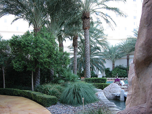 Foto Hotel Monte Carlo - Las Vegas